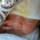 심재원한의원 | 심재원 한의원 자운고 스틱/오일 사용 후기