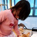 오창 고양이카페 캣플 아이랑 나들이 후기