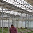 엘지농원 이미지