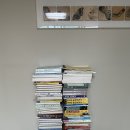 [2024년 1차대비] 경찰학 기출문제 (23년 11월 개강) | [공인회계사 CPA 초시 1유예의 합격 수기 1편] 합격을 위한 step 1 - step 6: 기본/연습서 강의 듣기