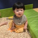 리틀마운틴행복한목동점 | 목동 행복한백화점 키즈카페 ‘리틀마운틴’ 방문후기 (성인 어린이 입장 가격, 12개월 미만 무료)