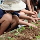 대천동대초등학교 이미지