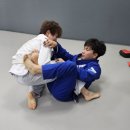 팀다이노주짓수체육관