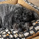 도화별장 이미지