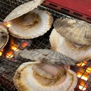 관동수산 | 삼척 맹방해변 카라반 여행 후기 — 서핑보드 포토존과 숯불 가리비구이 (가을 가족 캠핑)