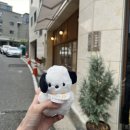 대전 도안동 카페 쿠피(kuppi) 후기