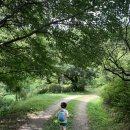 마노힐링캠프 | 용인 마노힐링캠프 카라반 캠핑여행