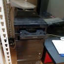 일(1 LL)
