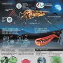 재미있는 과학 모기 퇴치법 이미지