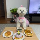 개st하우스 이미지