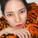 로지 카카오 검색결과