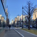 도톤보리 이미지