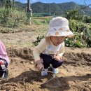 소풍농장 이미지