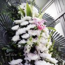 이든텍(주) 이미지