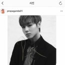 프로파간다 이미지