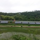 동천농원