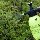 대지로5L 이미지