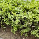 앤엠의원 이미지