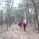갑산2리 Daum카페