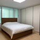 한라동백@ 이미지