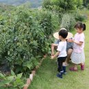 양평할머니 이미지