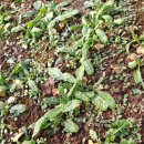 청도강변돌고래펜션 이미지