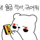 나은플러스 이미지