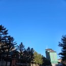 JAN당구장 | 비발디파크 소노벨 C동 패밀리 스탠다드 취사형 숙박후기