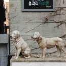베스트상조