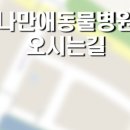 나만 애 동물병원 이미지