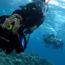 안녕, 아프리카 이미지