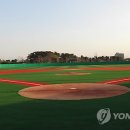 장안천야구장 이미지