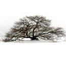 백마권역 이미지