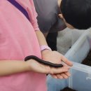 우포2로 이미지