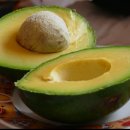 한마음한의원 이미지