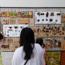 용현자연휴양림 이미지