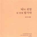 나의 왼발 네 번째 발가락 | 김기화 수필집 | 2022.09.09 출간 이미지