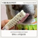 허니펫 | 강아지입냄새 개선에 도움 되는 강아지덴탈껌, 펫퍼스 스마일리츄 사용후기