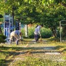 체리마을 이미지