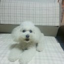 순이PC 이미지