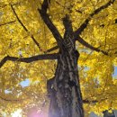 한양오토카 이미지