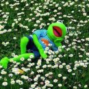 석호네닭발 이미지