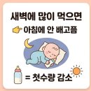 첫수 | 아침 첫수 적게 먹는 아기, 새벽수유 줄여야 할까? (직접 해본 후기)