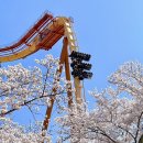 매직월드게임장 이미지