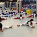 지웰MTA태권도 이미지