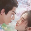 남안과의원 | 《사해중명(四海重明)》 – 기억을 잃은 사랑, 운명을 바꾸는 여정