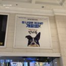 위대한견생 이미지