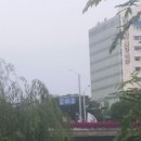 야탑교 이미지