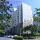 거제대우아파트 네이버블로그