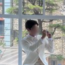 [헤어변형] 웨딩 촬영 무제한 헤어변형 '헤일링' 대만족 찐후기